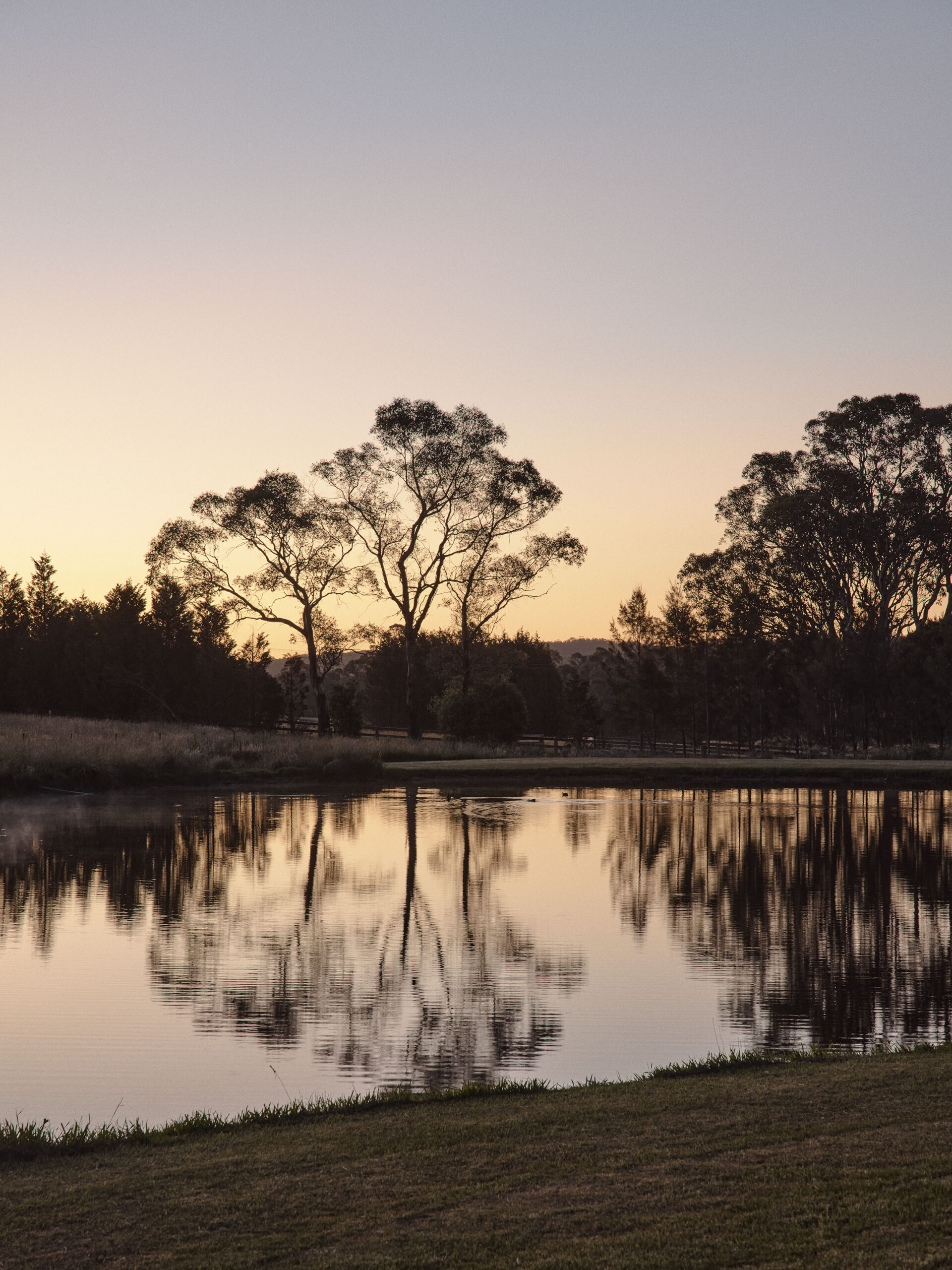 BENDOOLEY ESTATE - 120225_0074