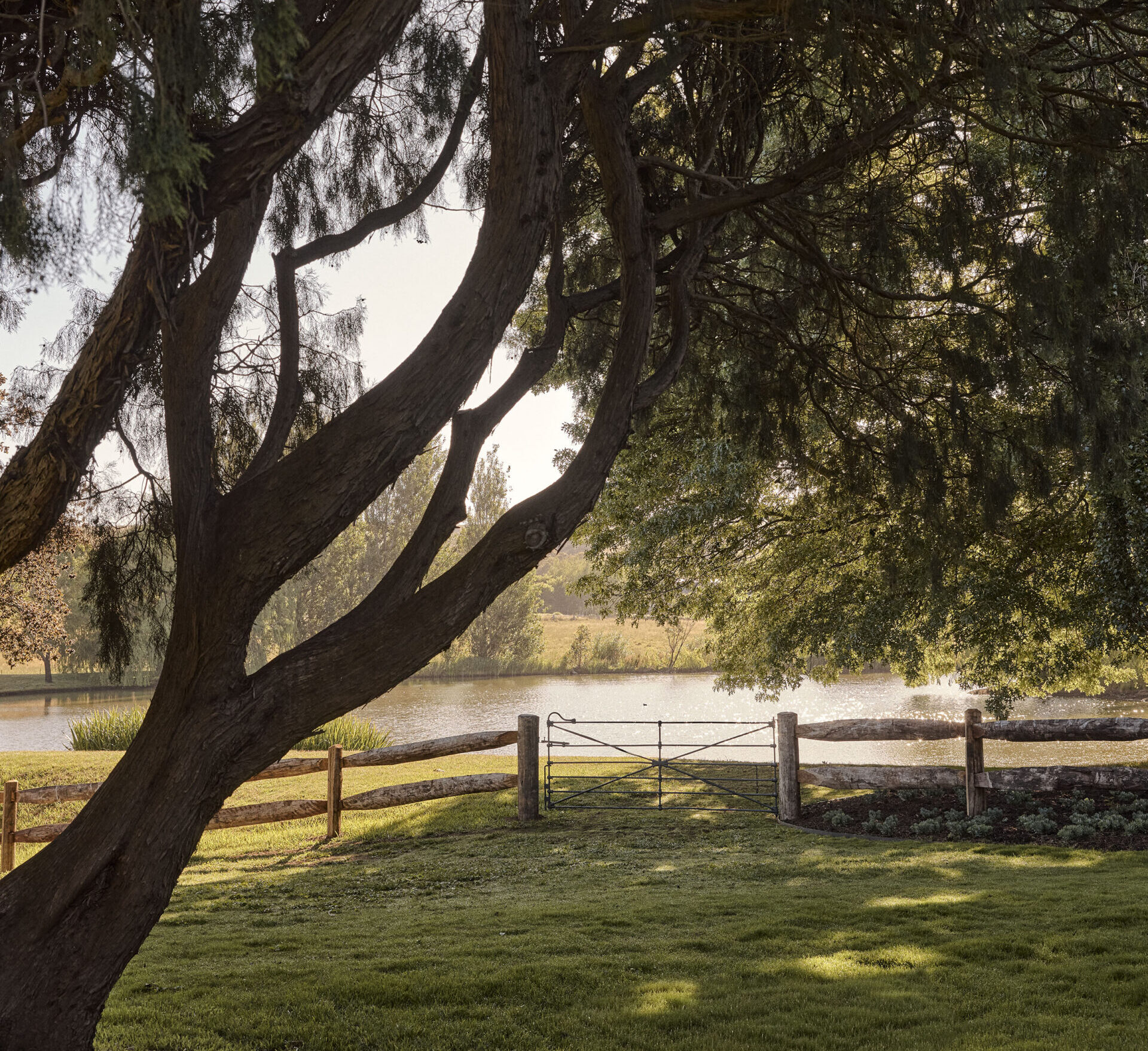 BENDOOLEY ESTATE - 120325_0080