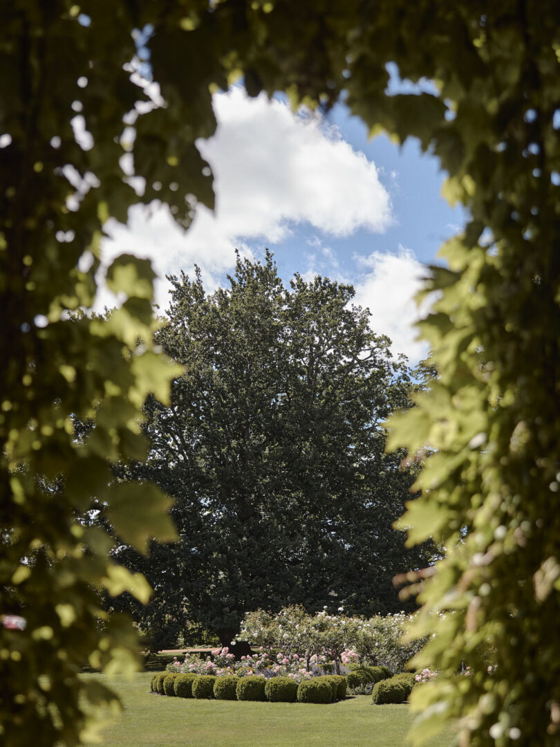 BENDOOLEY ESTATE 120225 0007